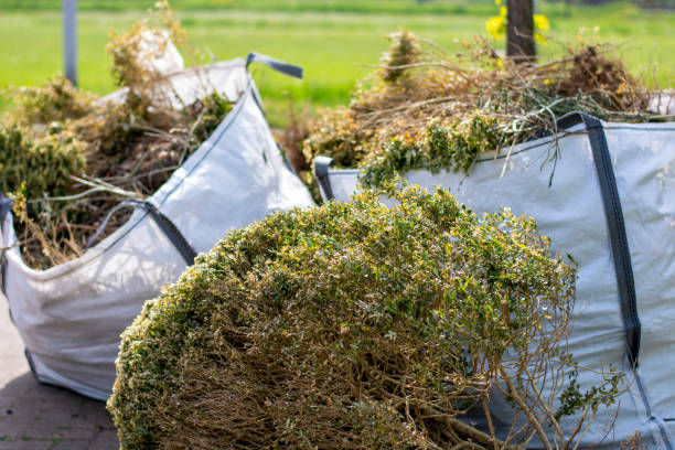 Best Carpet Removal and Disposal  in Middleborough Center, MA